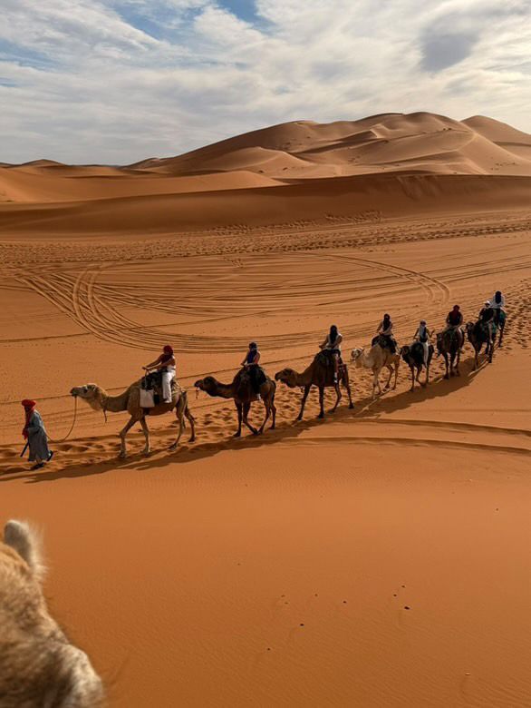 Caravana de camellos recorriendo las dunas de Marruecos